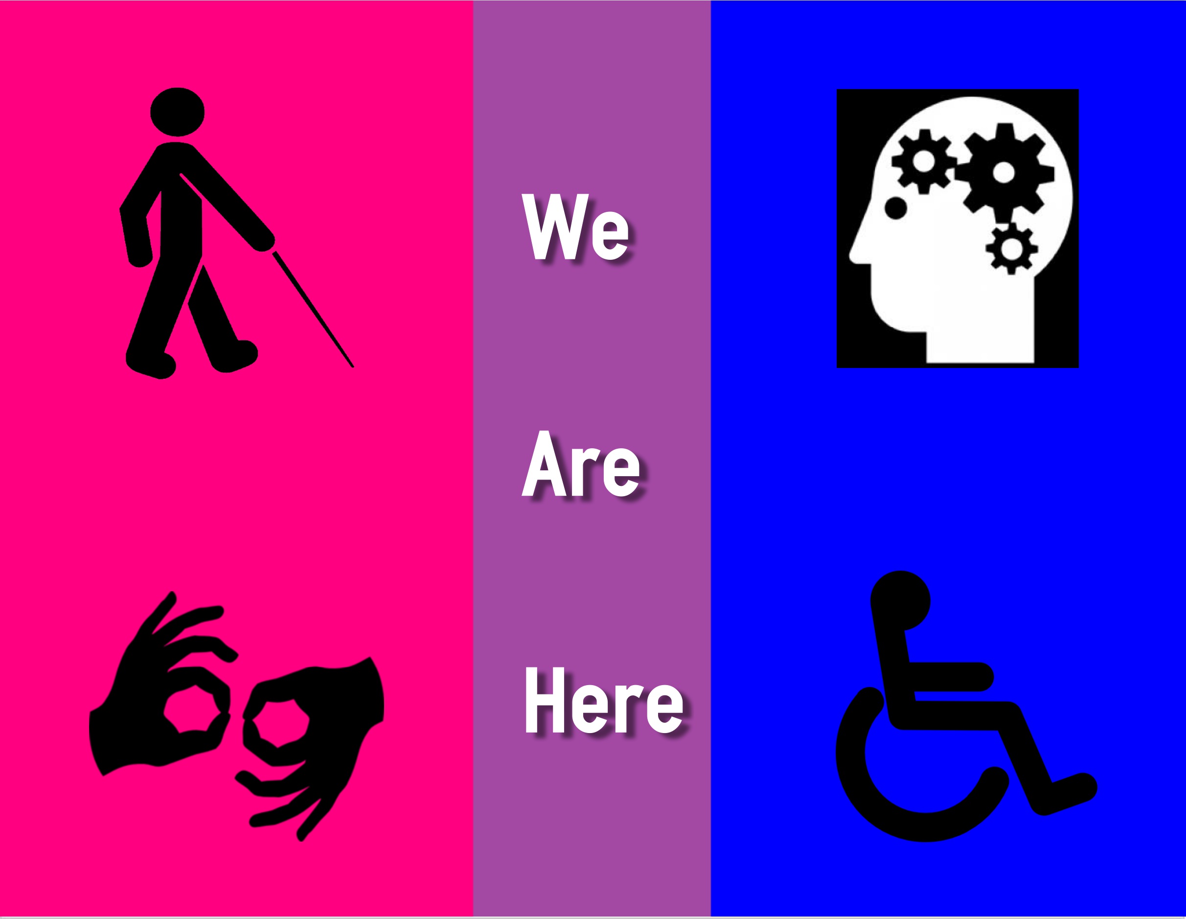 Bi Individuals with Disabilities.jpg