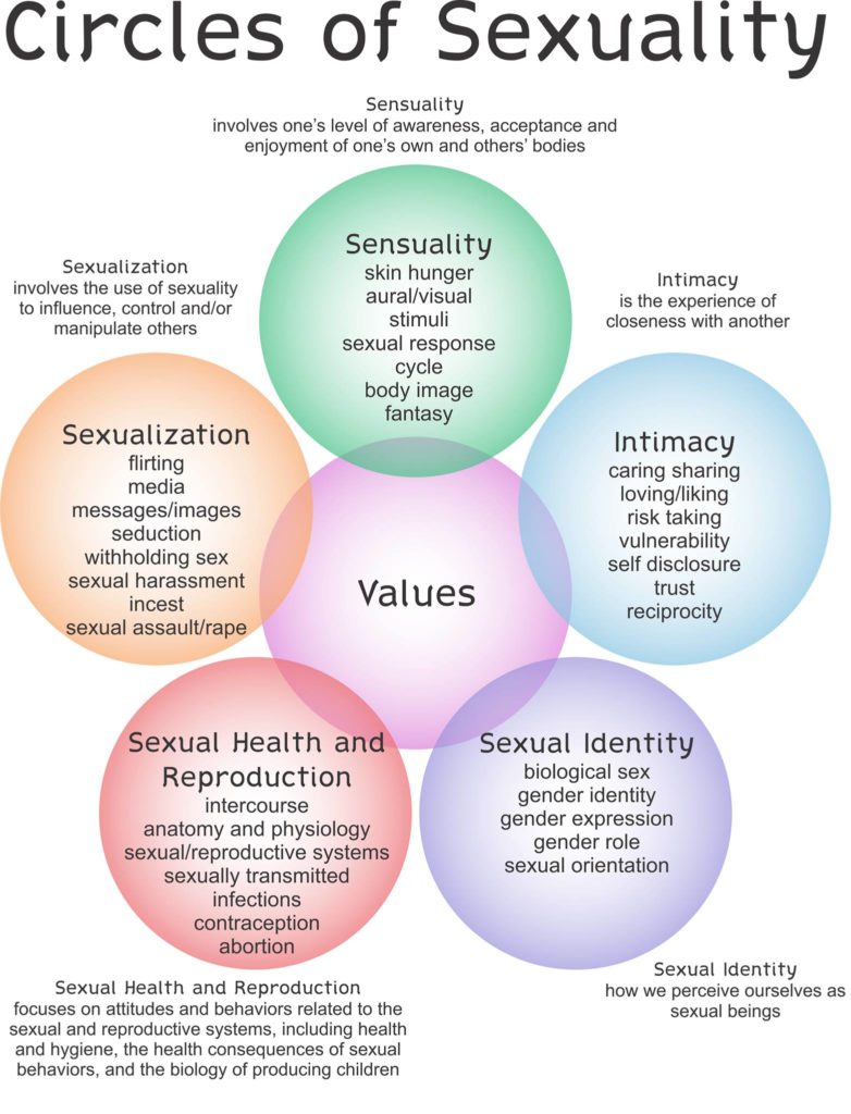 diagram of the circles of sexuality